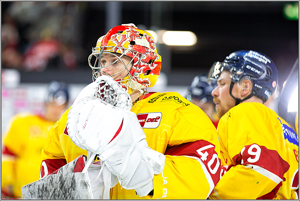 PENNY DEL; Koelner Haie- Duesseldorfer EG; Koeln, 02.01.2023